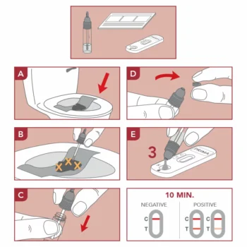 Schritt-für-Schritt-Anleitung zur Anwendung eines Heimtests zum Nachweis von Helicobacter pylori im Stuhl zur Magengesundheitsvorsorge.